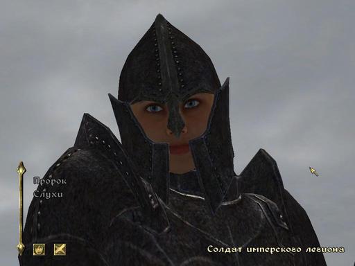 Elder Scrolls IV: Oblivion, The - Дневник имперского гастарбайтера